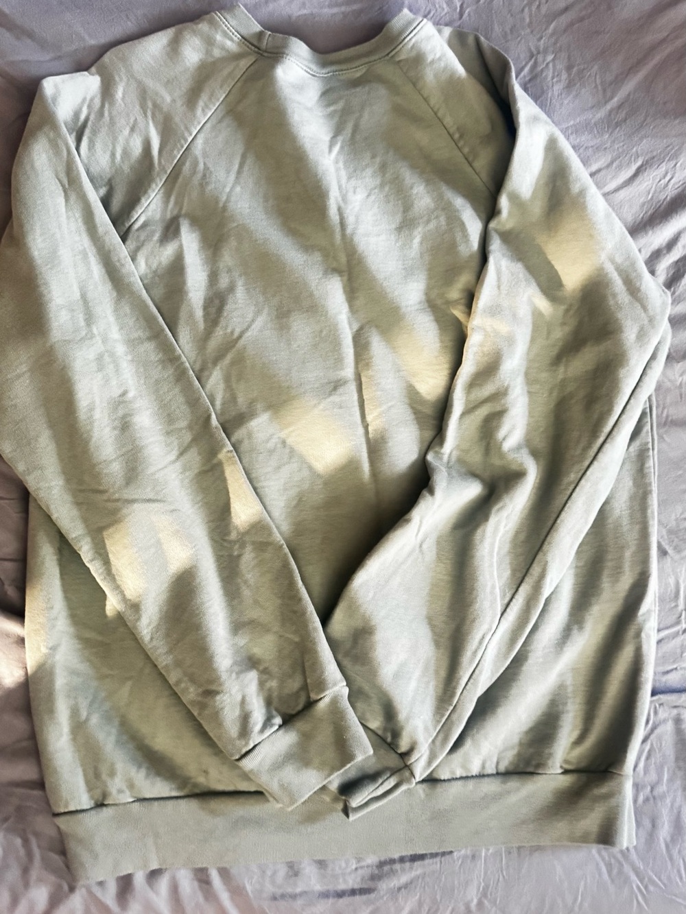 Men's Crewneck Sweatshirt in Sage Green